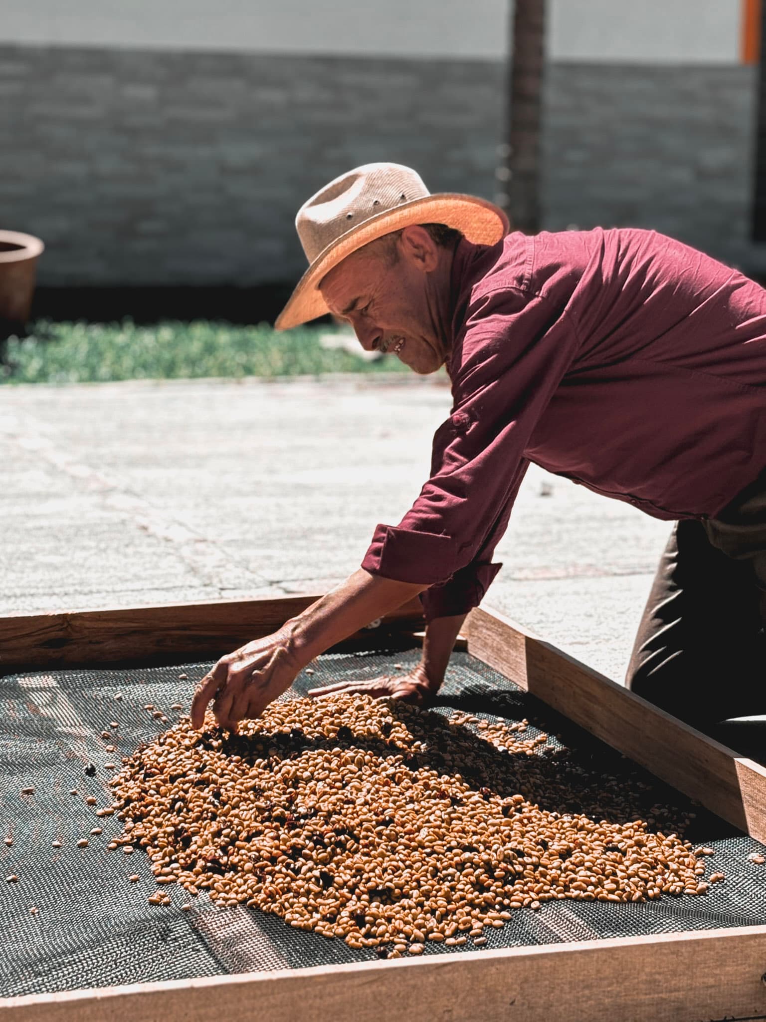 Selección de bolsas de café Viati Café