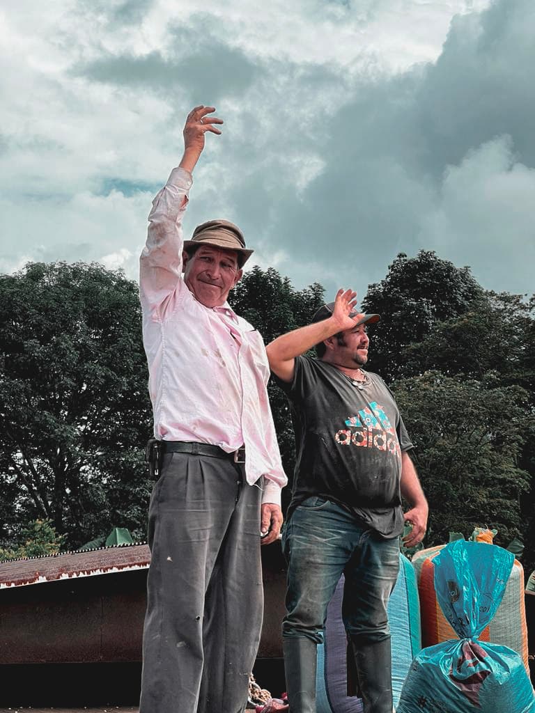 Granos de café verde en manos de caficultor